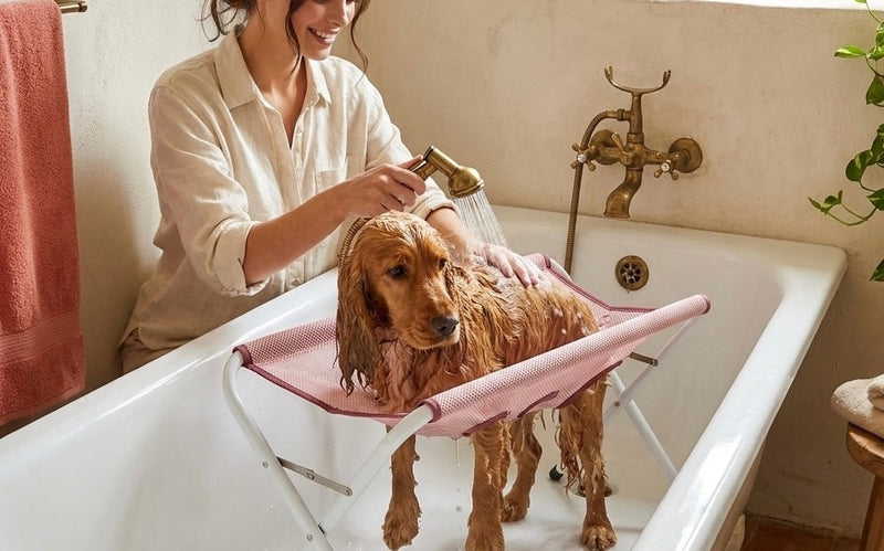 A cocker spaniel resting on the PupTub mesh with its legs down through the openings