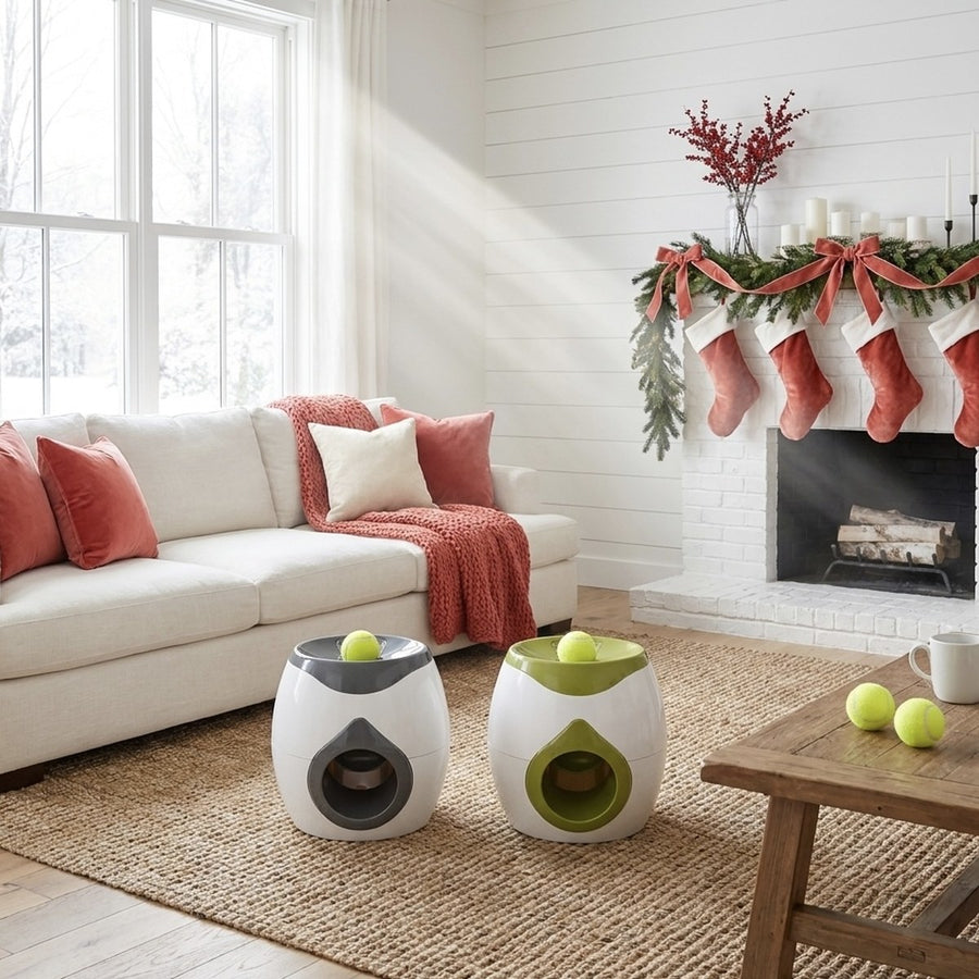 Two PupFetch launchers side by side in different colours on a jute rug in a bright living room