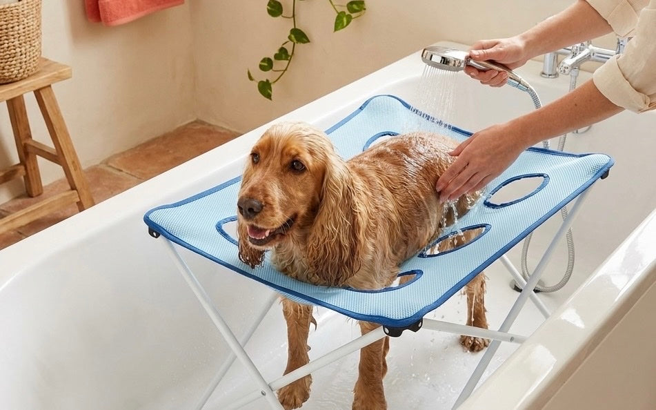 Non-slip mesh gripping a dog paw